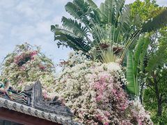 -深圳国际园林花卉博览园