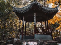 -秋霞圃