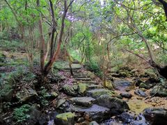 -牛鱼嘴原始生态风景区
