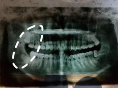 -西安交通大学口腔医院(主院区)