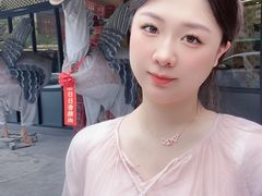 -日日香卤鹅饭店·澄海狮头鹅(澄海店)