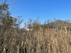 -西湖风景区-江洋畈生态公园