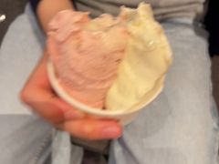 -陕拾叁-西安糕点(大雁塔店)