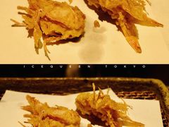 日本车虾-みかわ是山居