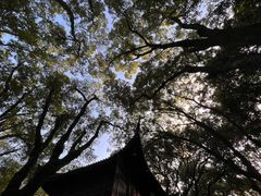 -宁波市保国寺古建筑博物馆