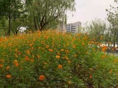 -杭州师范大学(下沙校区)