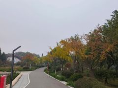 -石家庄市植物园