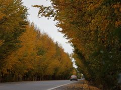 -扁都口生态休闲旅游区