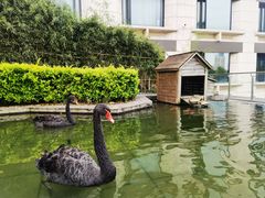 -南京圣和府邸豪华精选酒店