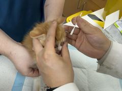 -联合动物医院(光谷诊疗中心)