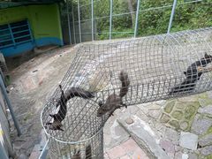 -西霞口神雕山野生动物世界