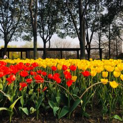-玄武湖景区-情侣园游乐场