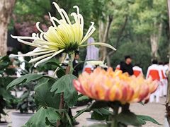 -共青国家森林公园-售票处