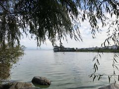 -才村湿地公园