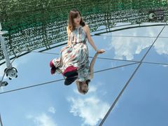 -黄海国家森林公园