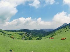 -大姆山草场