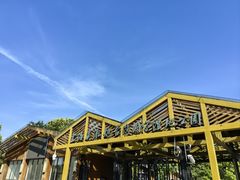 -上海吴淞炮台湾国家湿地公园