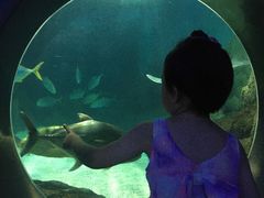 -常州海昌海洋探索馆