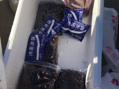 -韩家墅海吉星农产品批发市场