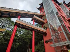 -东莞市大岭山森林公园