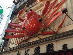 -蟹道乐(道顿堀本店)