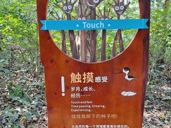 -华侨城湿地公园
