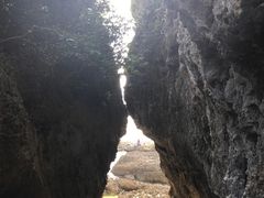 -鹅銮鼻公园