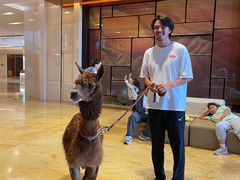 -济南喜来登酒店