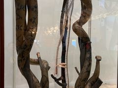 -墨尔本博物馆(Melbourne Museum)