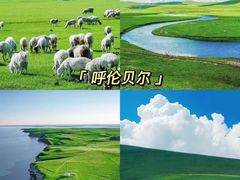 -呼伦贝尔大草原