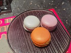-牛New寿喜烧(金茂览秀城店)