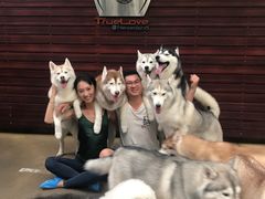 -TrueLove @ Neverland (Husky Cafe)