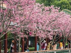 -宝墨园景区