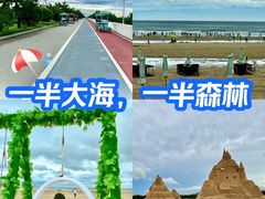 -日照海滨国家森林公园