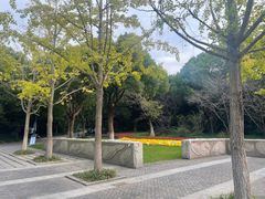-上海吴淞炮台湾国家湿地公园