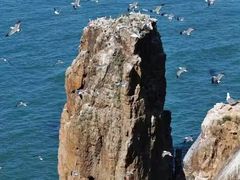 -海驴岛(荣成市)