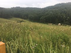 -驼梁风景区