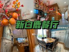-新白鹿餐厅(城西银泰城店)
