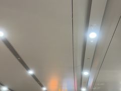 -麦当劳(北京大兴机场二层国内到达(安检外)店)