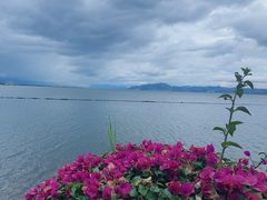 -水上人家民俗餐厅(洱海公园店)