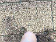 -铂尔登国际酒店(南山深圳湾口岸店)