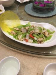 -上海绿地万豪酒店·大宴会厅