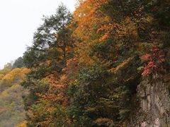 -光雾山旅游景区