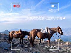 -灵山
