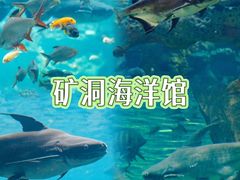 -长鹿旅游休博园