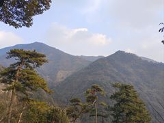 -东天目山风景区