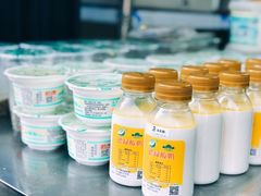 -德禄酸奶(莫家街店)