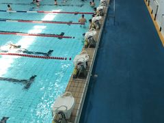 -七宝中学游泳馆