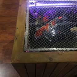 点击看大图 -鳌首刺青纹身 穿孔饰品店