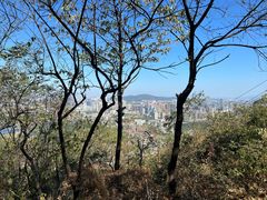 -岳麓山风景名胜区